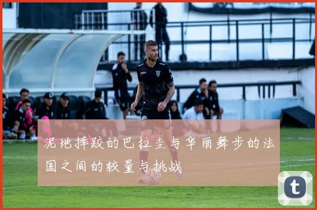 泥地摔跤的巴拉圭与华丽舞步的法国之间的较量与挑战