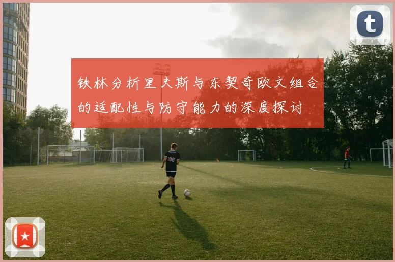 铁林分析里夫斯与东契奇欧文组合的适配性与防守能力的深度探讨