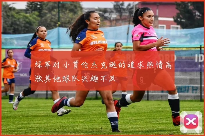 绿军对小贾伦杰克逊的追求热情高涨其他球队兴趣不及